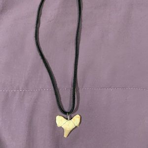 Shark Tooth Necklace